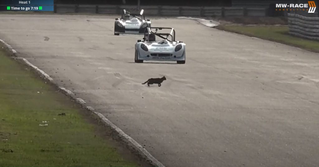 heat 1 kat på banen