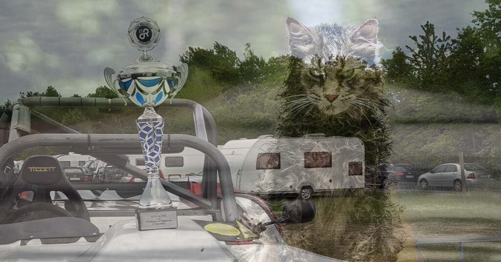 dyrekirkegården slog til igen på Ring Djursland